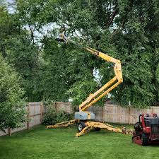 Best Lot and Land Clearing  in Walworth, WI