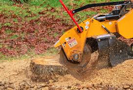 Best Lawn Renovation and Restoration  in Walworth, WI