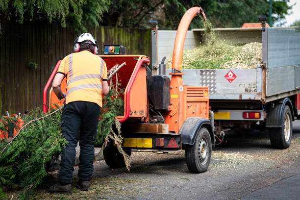 Mulching Services in Walworth, WI