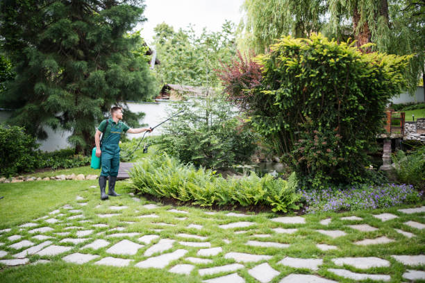 Best Tree Removal  in Walworth, WI