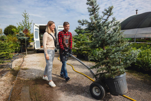 Best Tree Preservation Services  in Walworth, WI
