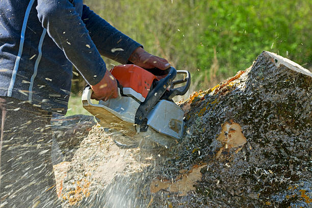 Best Soil Testing and Treatment  in Walworth, WI